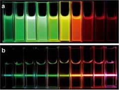 Water-soluble CdTe QDs(Carboxyl modified) 