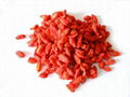 goji 1