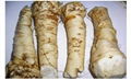 horseradish 2