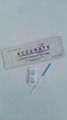 early fertility monitoring hcg pregnancy test paper cassette card 3