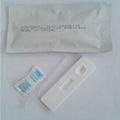 Home Use HCG Pregnancy Test Strip for Self Testing 3