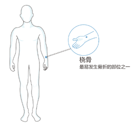 超聲骨密度儀 2