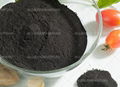 China Manufacturer Potassium Humate