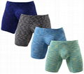 Men's Seamless Boxer Brief 1