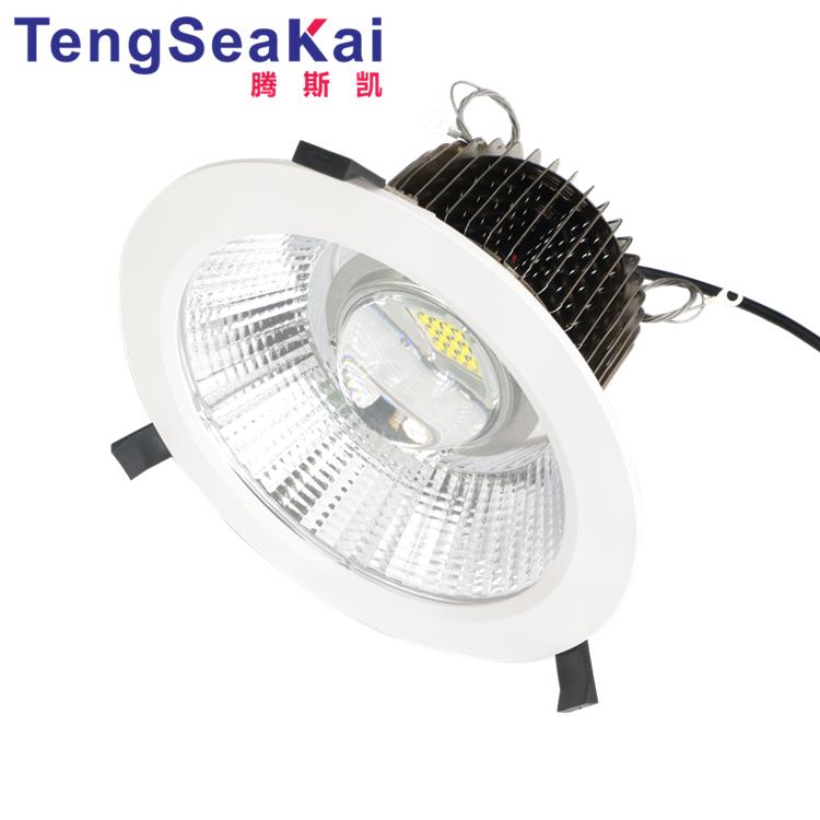 LED DOWNLIGHT RGBW 30W50W60W100W 90D COB Chips Dia .200mm 2