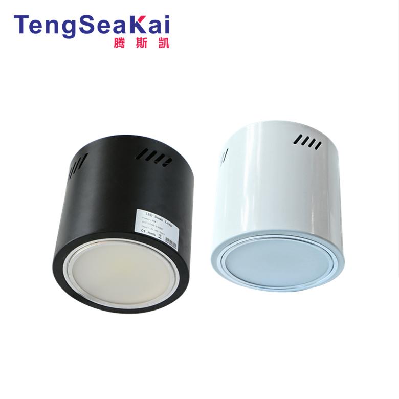 6 inch 8inch 40W 50W 60W Dimmable LED Surface Mount Downlight pendant cylinder 4