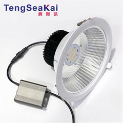 60W 70W 80W 9 inch led downlight round recessed can 200mm 215mm cutout