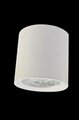 6 inch 8inch 40W 50W 60W Dimmable LED Surface Mount Downlight pendant cylinder