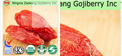 Organic goji berry