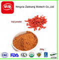 Goji Powder 3