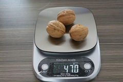 New Crop Sinkiang Walnut Wen 185 for Sale