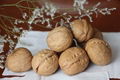 New Crop Sinkiang Walnut Wen 185 for Sale 5