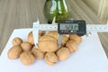 New Crop Sinkiang Walnut Xin 2 for Sale 1