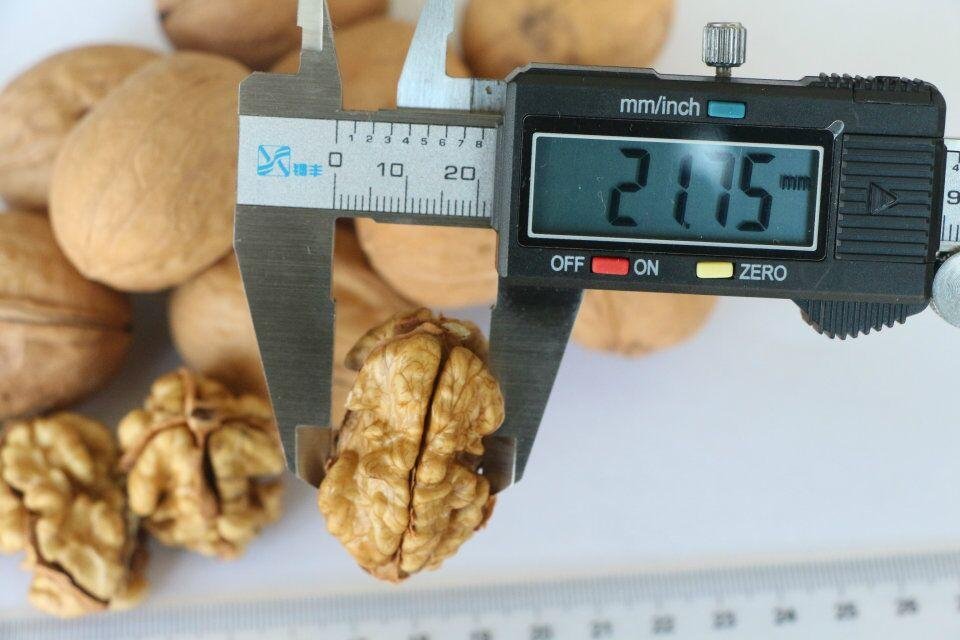New Crop Sinkiang Walnut Xin 2 for Sale 3