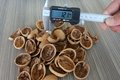 New Crop Sinkiang Walnut Xin 2 for Sale 4