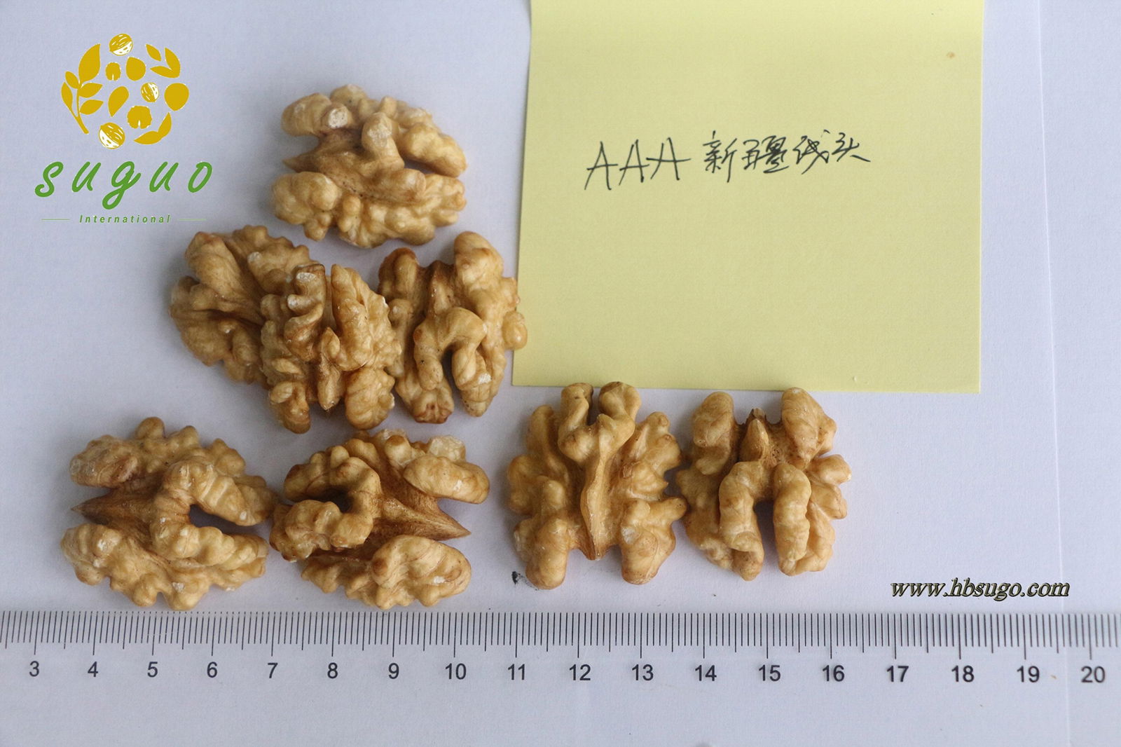 Walnut Kernel for Sale New Crop Half Butterfly 2