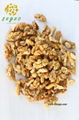 Walnut Kernel for Sale New Crop Quarter kernel 5