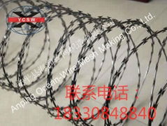 concertina  razor  wire