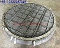High quality stainless steel 304L wire mesh demister mist eliminator