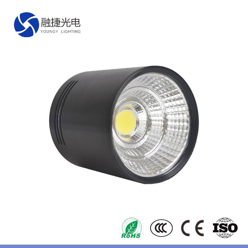 10w 20w 30w cob wwww xxx com led down light