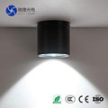 10w 20w 30w cob wwww xxx com led down light 2