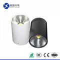 10w 20w 30w cob wwww xxx com led down light 5