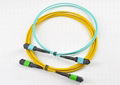 MPO/APC 12 core fiber optic patch cord 1
