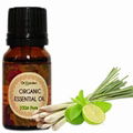 Lemongrass Essential Oil 1