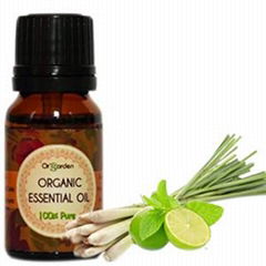 Lemongrass Essential Oil