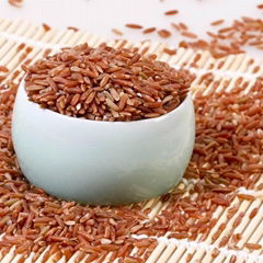 Oragnic Brown Rice