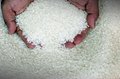 Organic White Japonica Rice