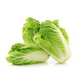 Organic Cabbage 1