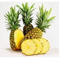 Organic Pineapple