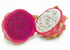 Organic Dragon Fruits