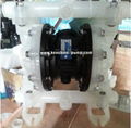 RW Series Air Operated Double diaphragm pump