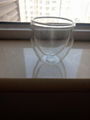 double wall glass cup without handle  1