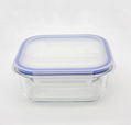 high borosilicate glass food container