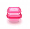 different shape and size glass food container  3