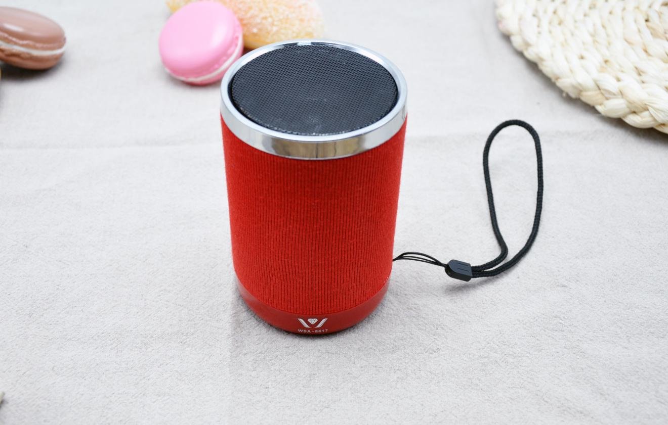 DANIU Brand 3W WSA-8617 NEW fabric HiFi Bluetooth speaker Private model  5