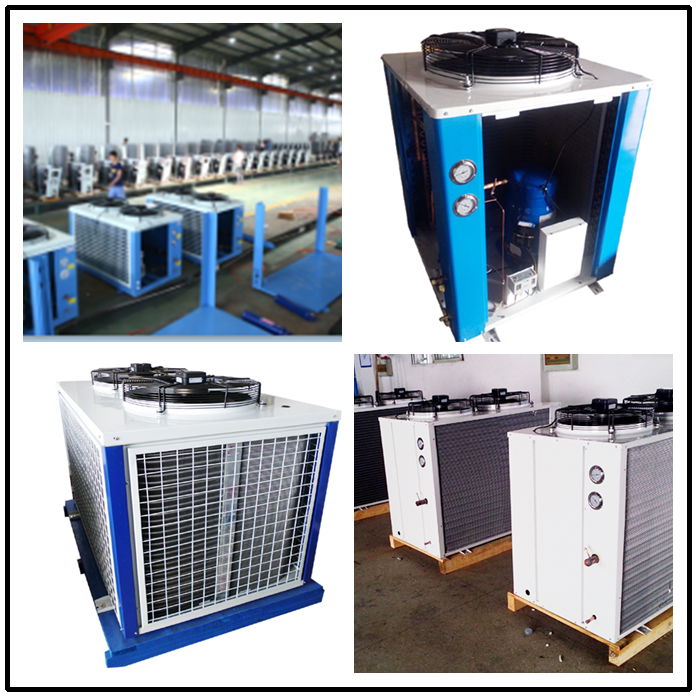 Air-cooled Condensing Unit  For Cold Room Chiller 4