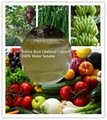 Plant Source Amino Acid Chelate Ca  100% Water Soluble Organic Fertilizer 