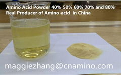 Compound Amino Acid Powder 40% 100%  Water Soluble Fertilizer 