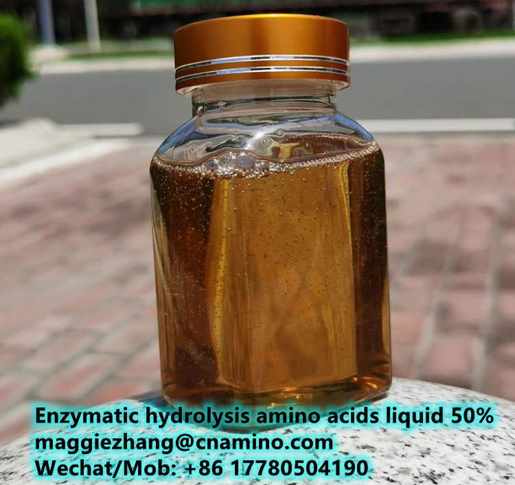 Enzymatic hydrolysis amino acids liquid 5% with organic nitrogen 8% 2