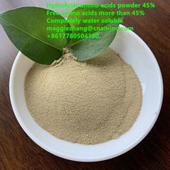 Hydrolyzed compound amino acids powder 50% with free amino acids 45%