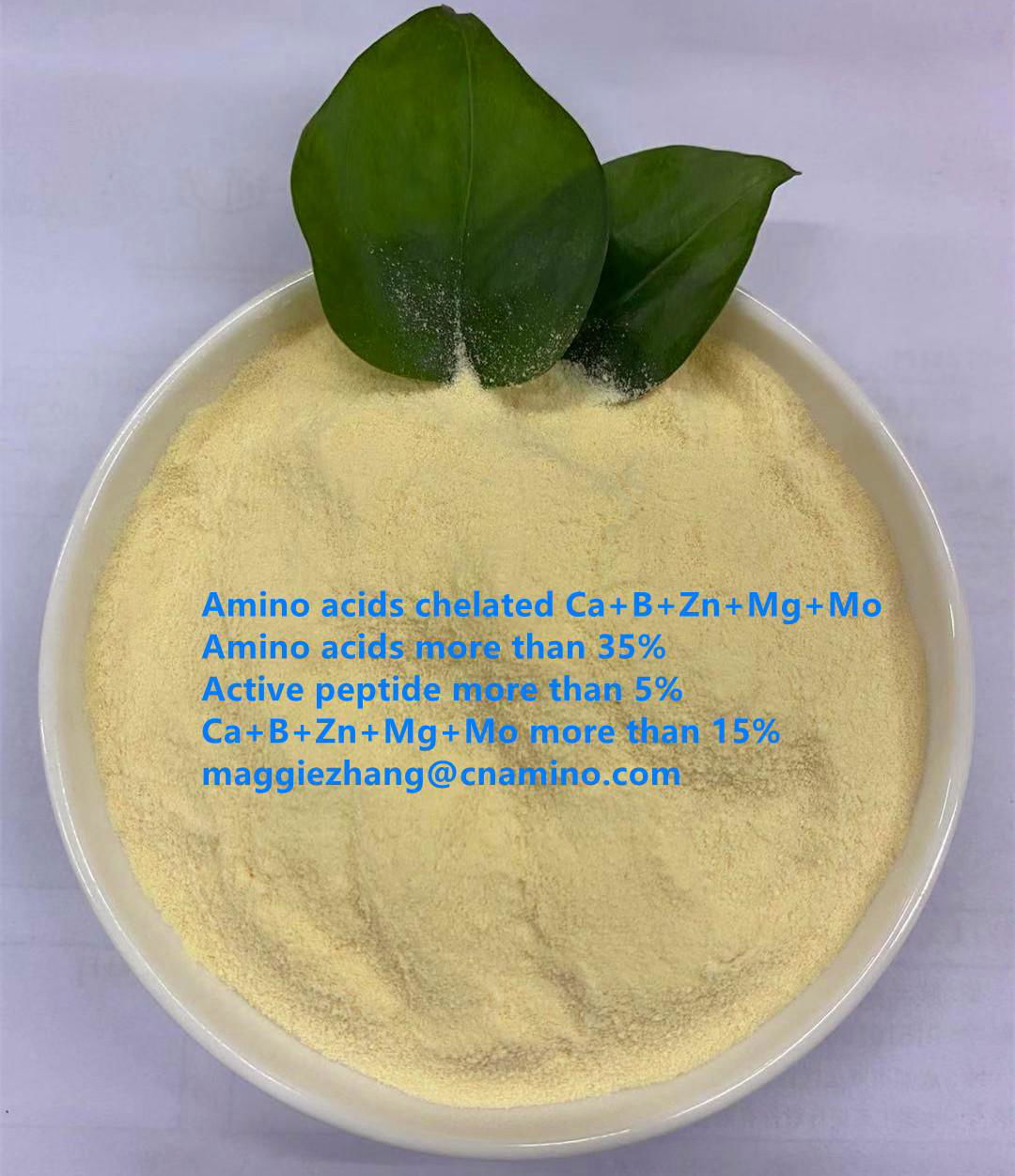 Amino acids chelated Cacium Magnesium Zinc Boron Mo PH7-9 2