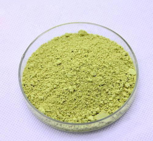 High Quality Rutin Extract - 3 - CBA (China Manufacturer) - Plant ...