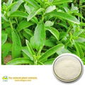 Stevia Extract sugar High Purity Natural Herbal Extract Stevia Sugar Rebaudiana 