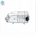 Gestation Crate Gestation Pen Gestation