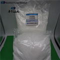 2-mercapto thiazoline H1 H4MT Metabasal