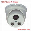 H.264 2MP Dome IP Camera With Fixed Lens Night IR Distance up to 40M 1